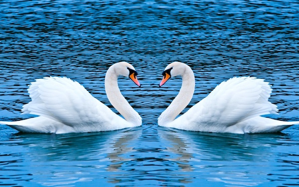 Истина - в верной любви