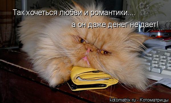 Любовь авансом