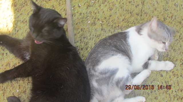 стих который тронул душу. мне чуть-чуть сильней пе