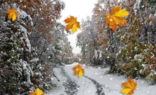 Первый снег