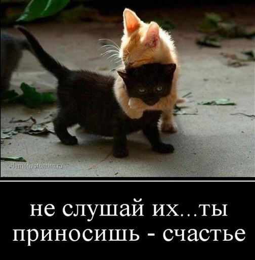 Чёрный цвет!