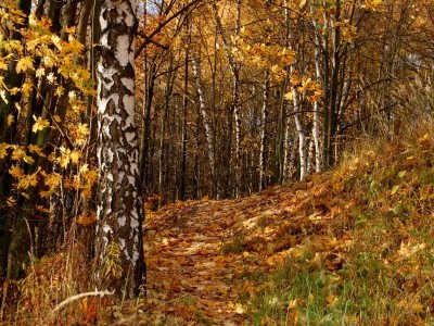 Созерцательное-3