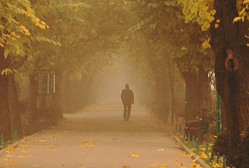 Ты сегодня пришел в мой сон..