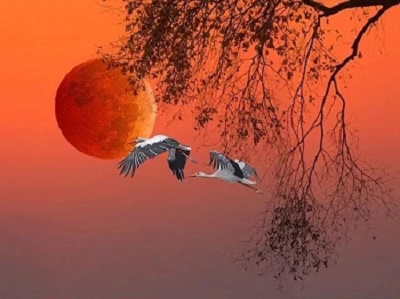 Осень - моя разлучница