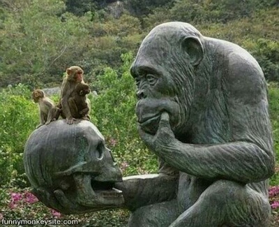 5 лет вселенской тишины