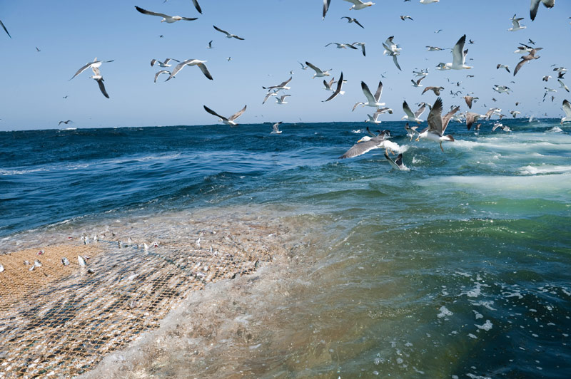 Душевный мир