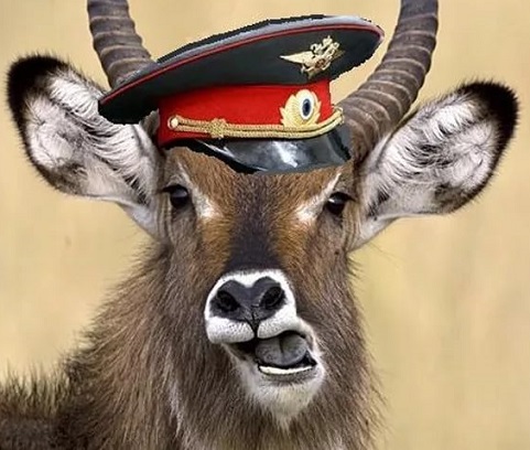 Креститься не будет. Притча