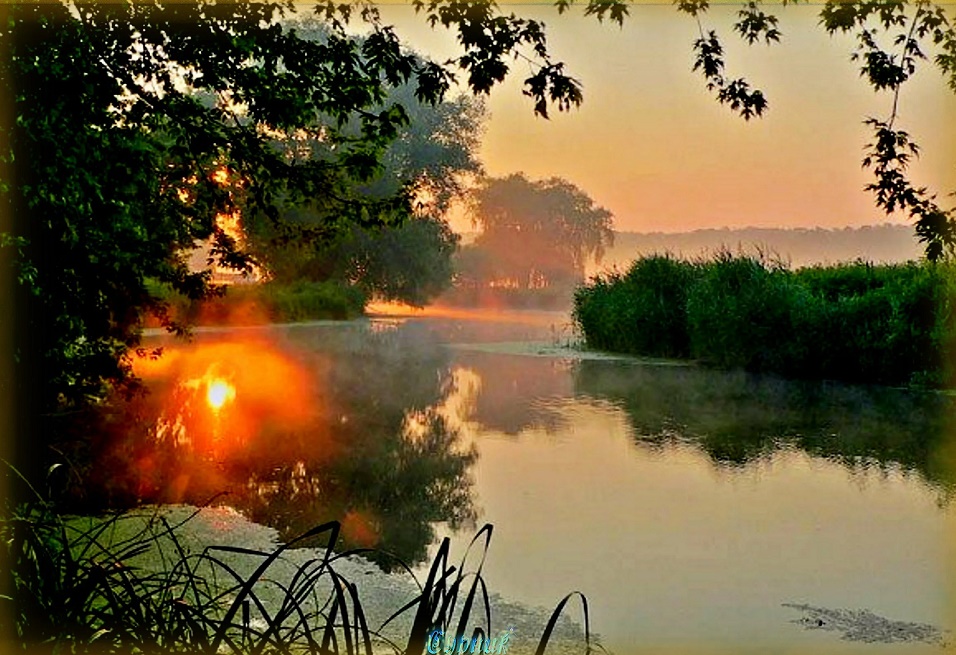Тихая и теплая заря занималась над землей. Заря Зорька Зоренька. Летнее утро на реке. Летний рассвет над рекой. Рассвет на реке.