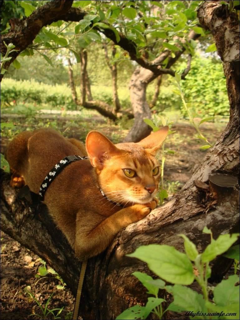 Жизни призы