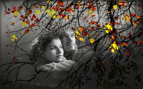 Любовь приходит стихи. Любовь приходит.... Поздняя осень любовь. Осенняя любовь стихи. Открытки о поздней любви.