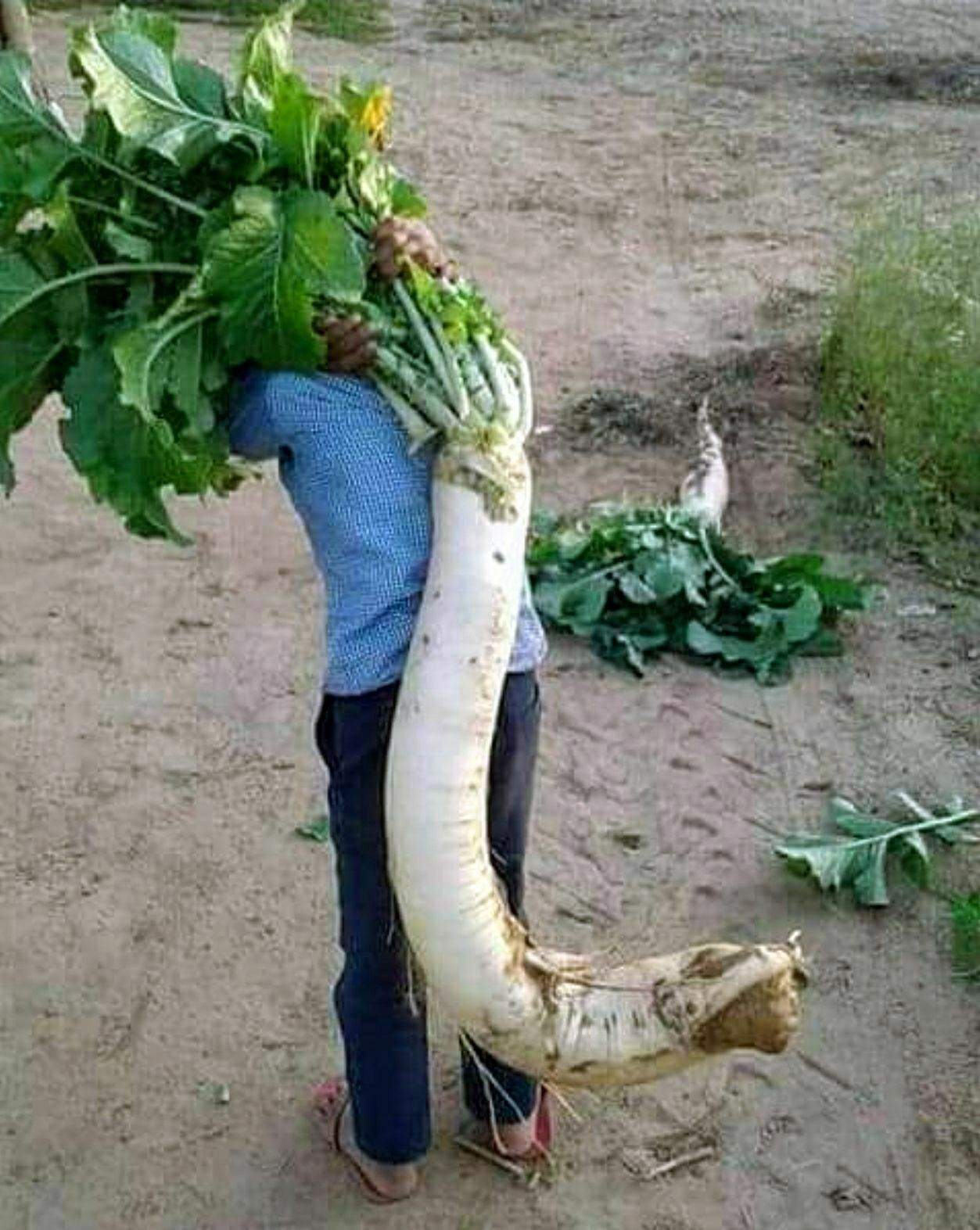 Разговор с другом 4