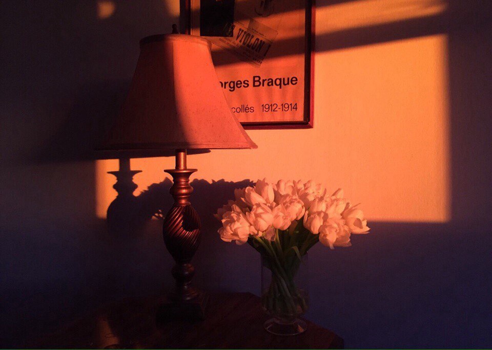 Ценность жизни