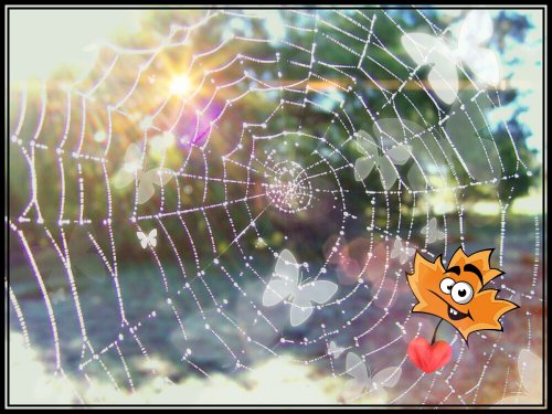 Золотое кружево паутинки...