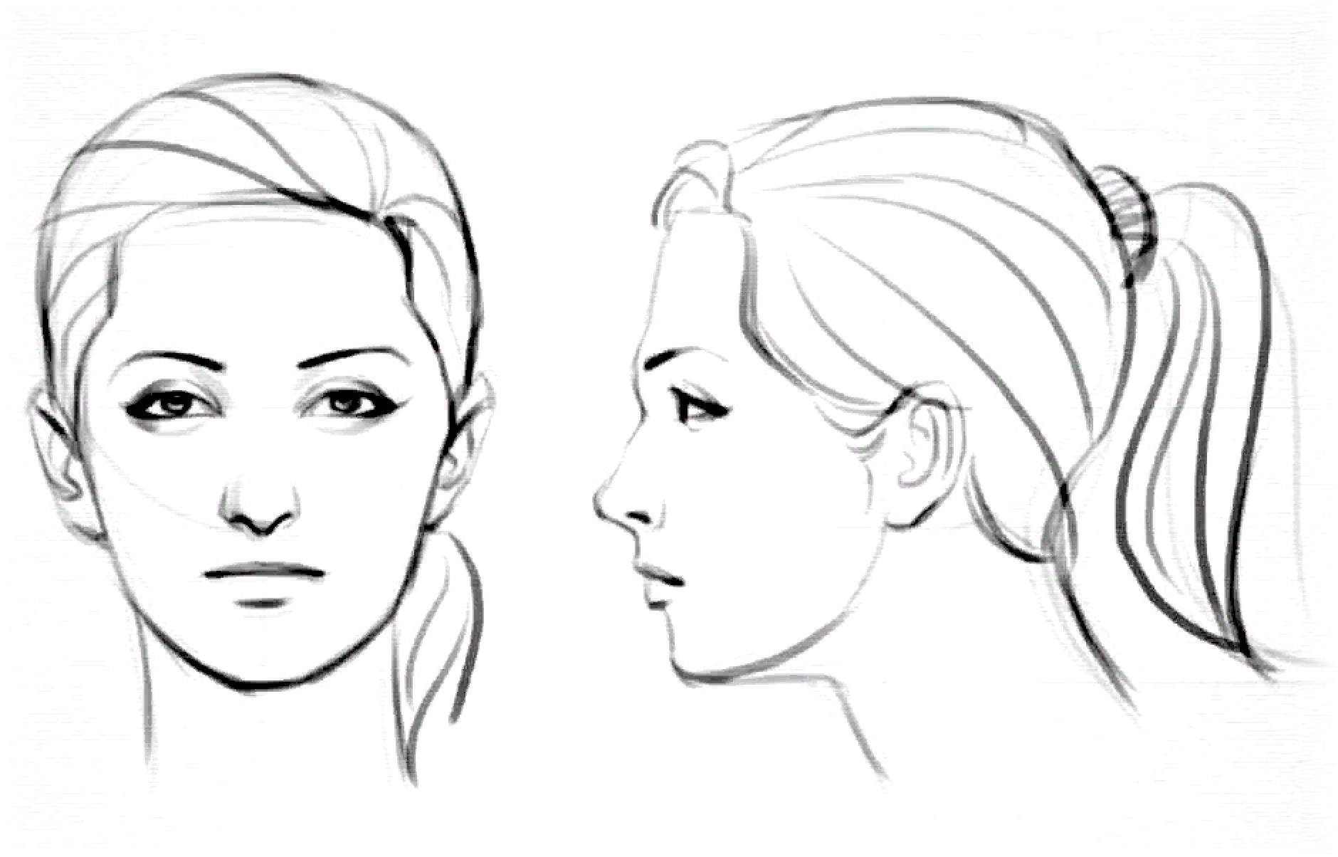 Набросок женской головы. Головы девушек карандашом. Лицо рисунок. Лицо девушки в профиль рисунок. Девушка карандашом.