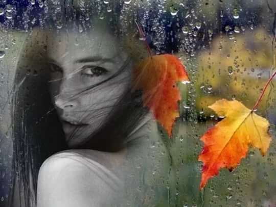 Шум грозы, треск огня