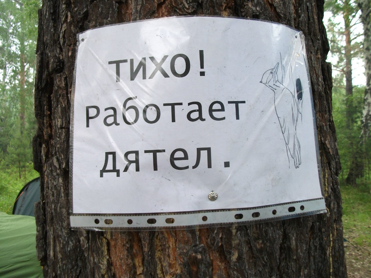 работать будет тише. работать будет тише. юмор прикол тихий час. тишина в библиотеке. работать будет тише.