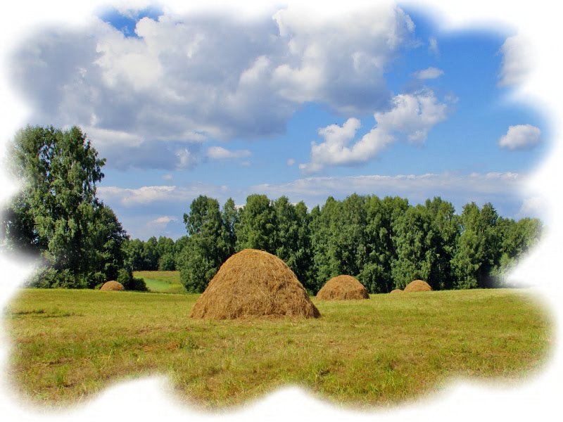 Эх, завалиться сейчас бы в стог