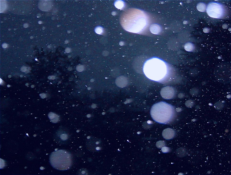 Совсем запуталась