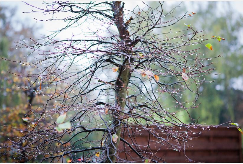 Октябрь плакал