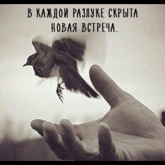 Мой ангел прощается с музой