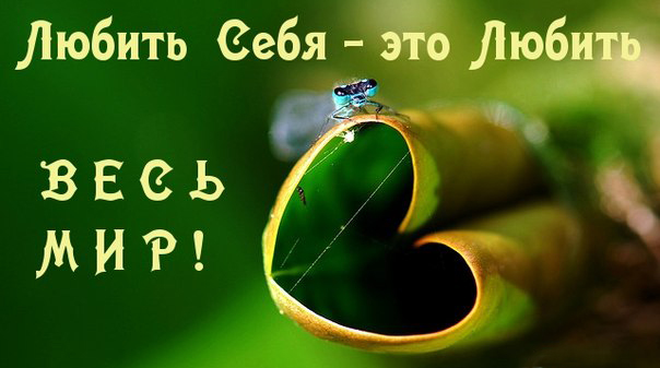 Любовь к большому проявляйте в малом