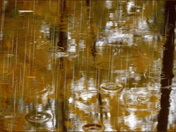 Октябрьский дождь