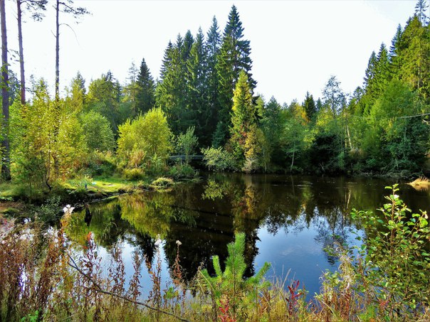 Поговорили между делом...
