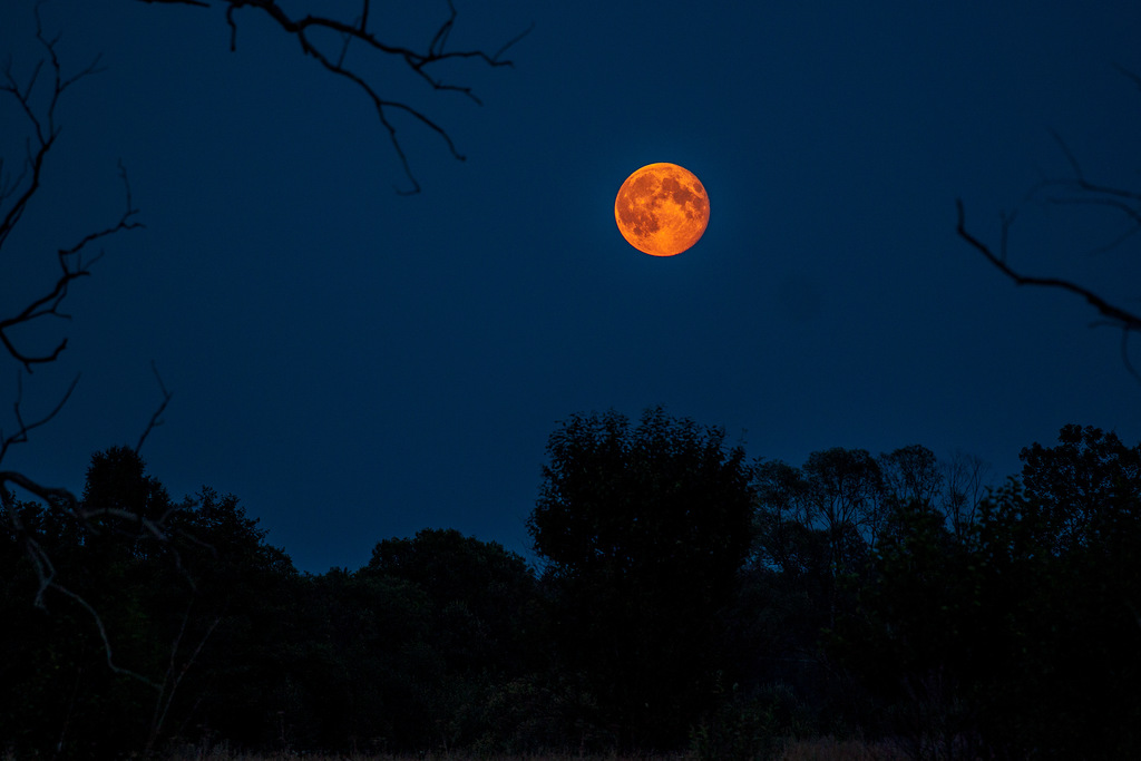 Большая оранжевая луна. Оранжевая Луна. Оранжевая Луна на небе. Оранжевая Луна ночью. Луна апельсин.