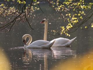 Загрустила Осень