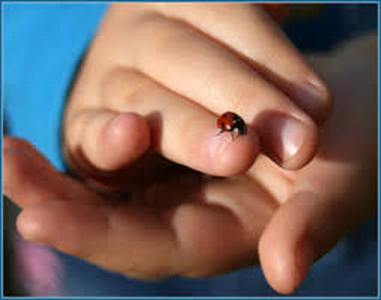 Мы сдаем земной экзамен