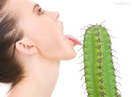 3324 Мазохизм