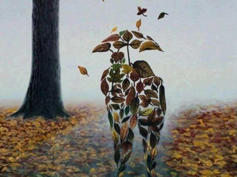 Осень жизни у нас...