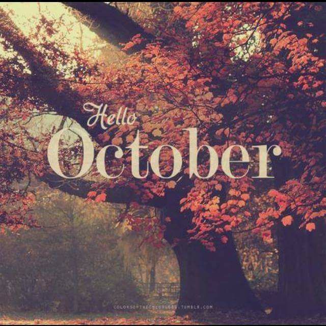 Октябрьское ненастье