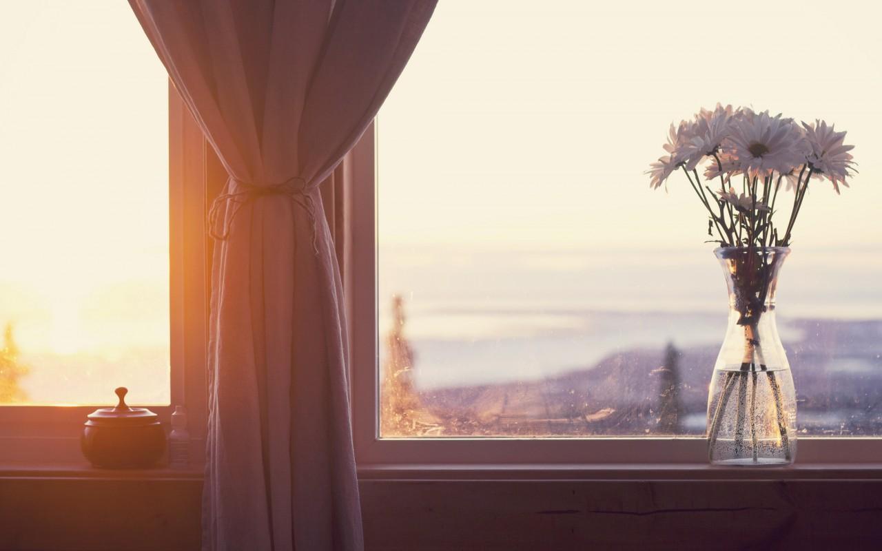 Жизнь с нуля