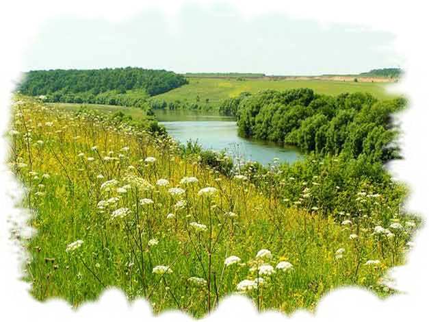 До безумия!