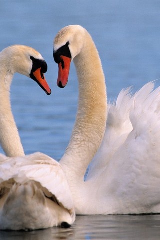 Веришь, я устала...