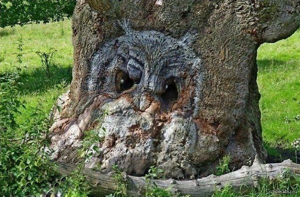 Шутки Бога...