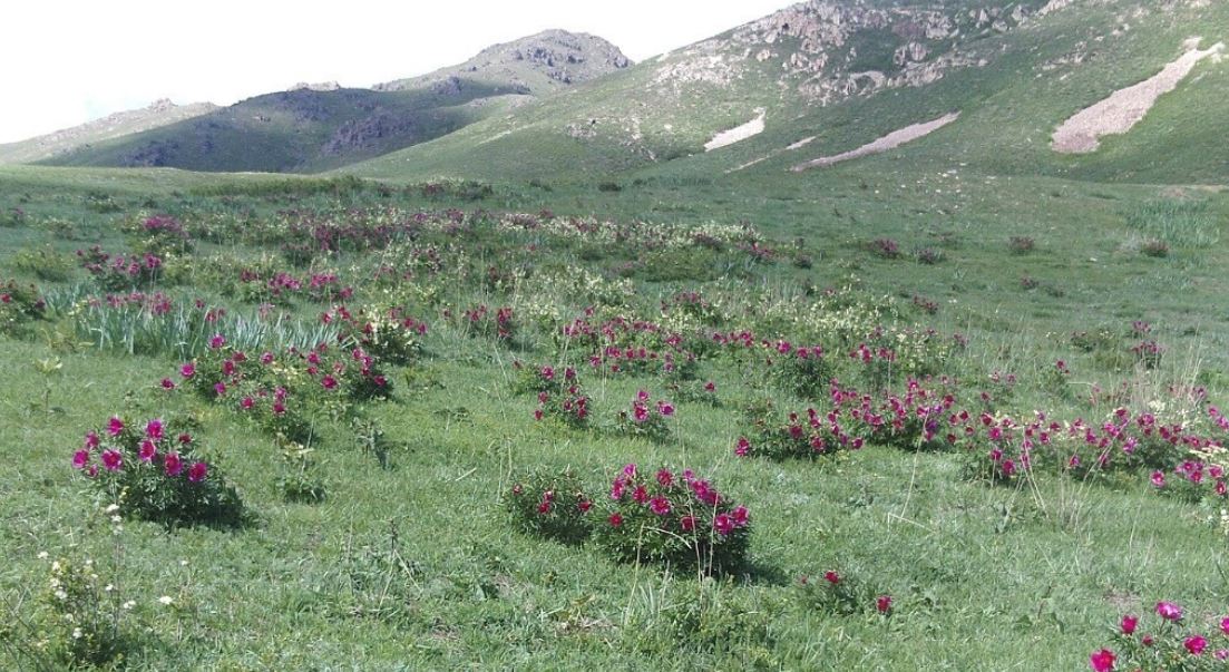 Ностальгия, она...