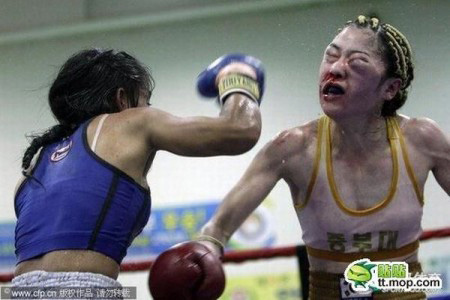 Хорошо иметь гарем! Сбор-юмор