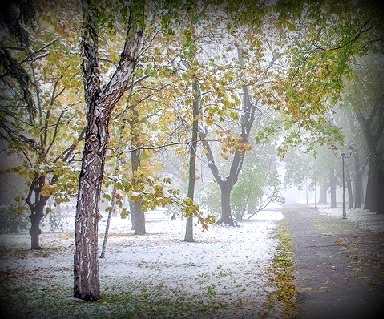 Первый снег закружил в сентябре...