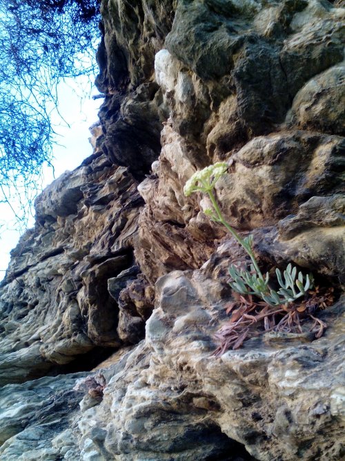 И лишь спустя годы я поняла...