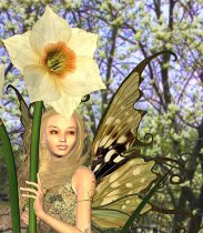 Бабочка и Нарцисс