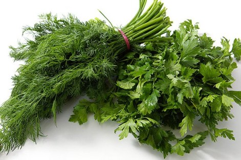 Огородная сказка