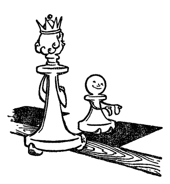 Шахматные этюды 1