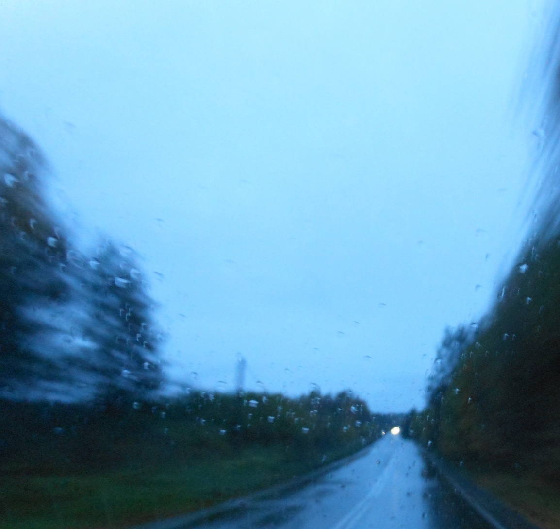 Всего лишь сон