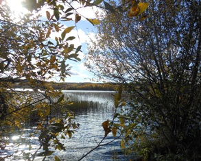 Состояние души