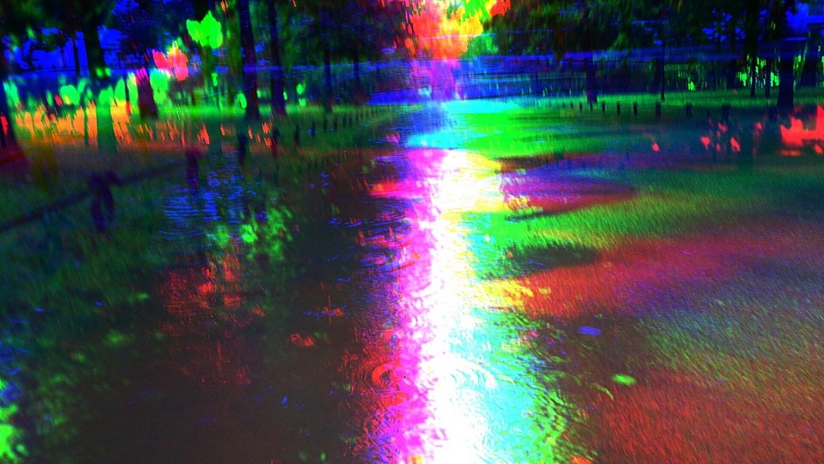 Их мучает один вопрос?