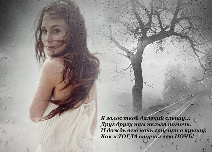 Давно я слов твоих не слышал...