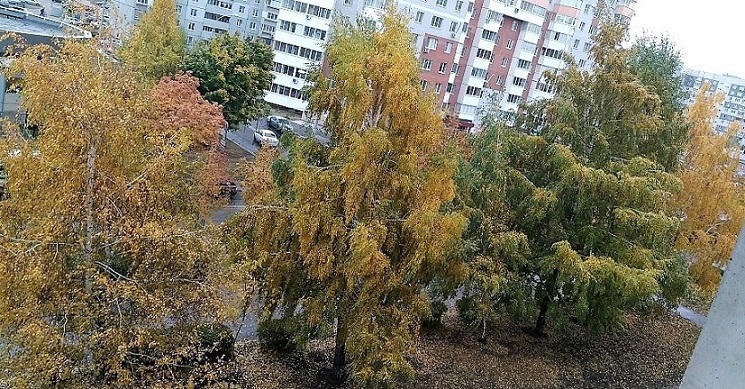 Осень в городе Тольятти