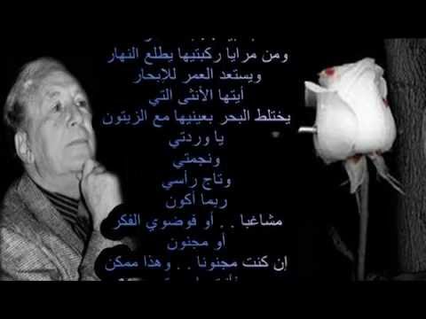 Моя любимая -она закон